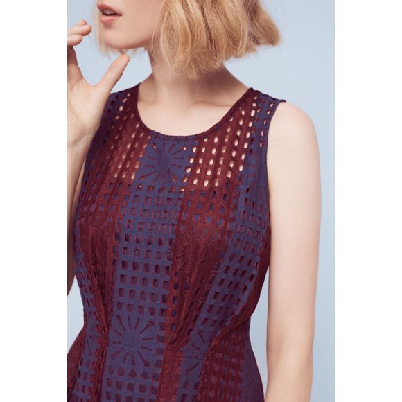 Eva Franco Anthropologie Fit and Flare Sleeveless Summer Mesh Samantha Dress - Picture 3 of 5